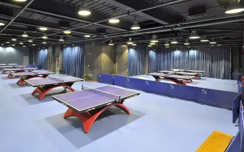 table tennis court blue